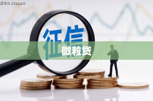 福山微粒贷