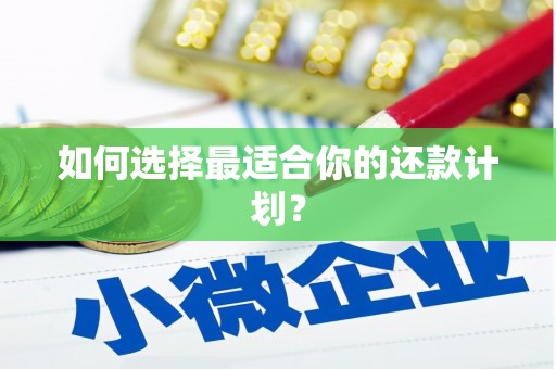 福山如何选择最适合你的还款计划？