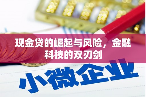 福山现金贷的崛起与风险，金融科技的双刃剑