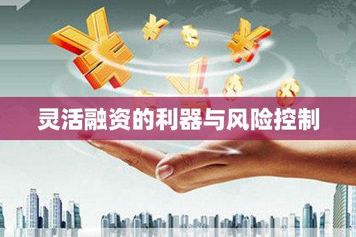 福山灵活融资的利器与风险控制