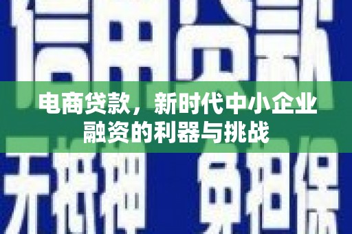 福山电商贷款，新时代中小企业融资的利器与挑战