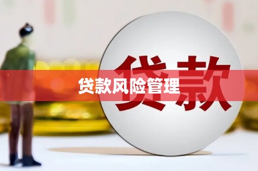 福山贷款风险管理