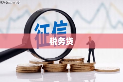 福山税务贷