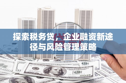 福山探索税务贷，企业融资新途径与风险管理策略
