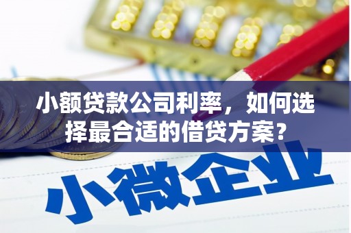 福山小额贷款公司利率，如何选择最合适的借贷方案？