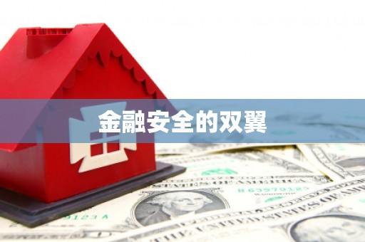 福山金融安全的双翼