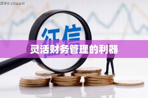 福山灵活财务管理的利器