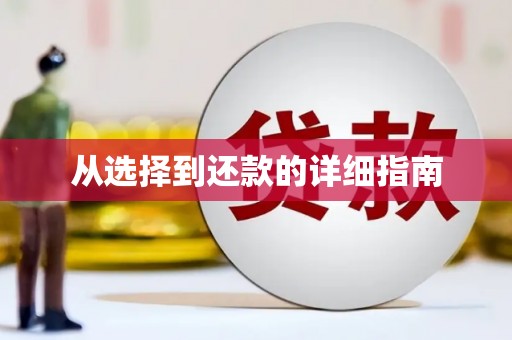 福山从选择到还款的详细指南