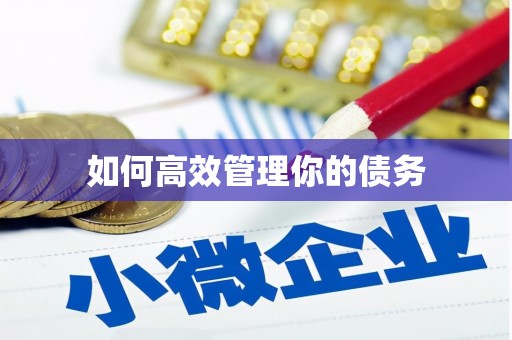 福山如何高效管理你的债务
