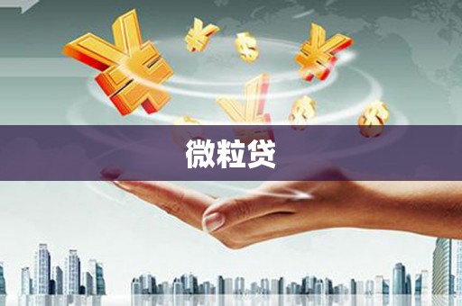 福山微粒贷