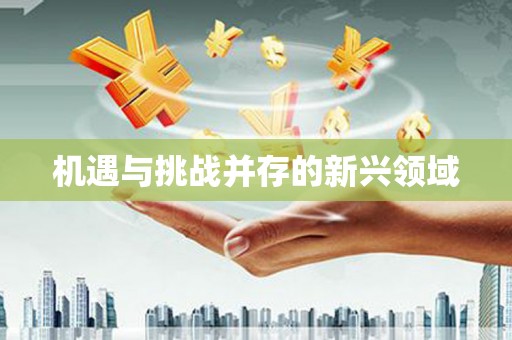 福山机遇与挑战并存的新兴领域