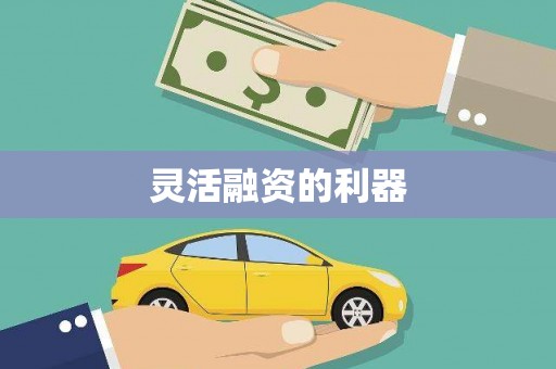 福山灵活融资的利器
